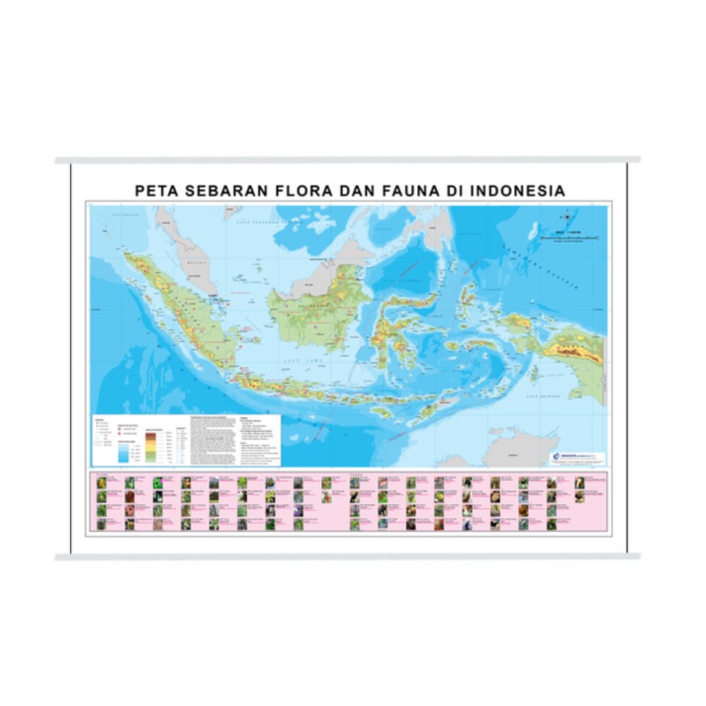 Peta Sebaran Flora dan Fauna di Indonesia